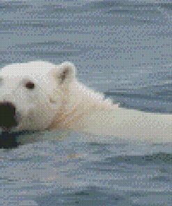 White Polar Bear In Water Diamond Painting