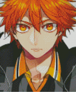 Aesthetic Hinata Shoyo - Diamond Painting