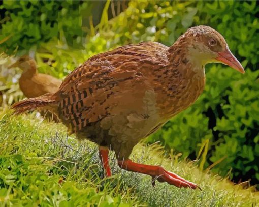 Aesthetic Weka Diamond Painting