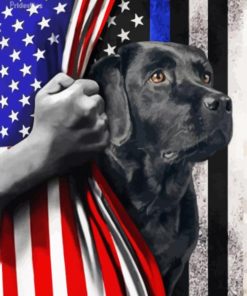 Aesthetic Black Lab With Flag Diamond Painting