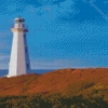 Cape Spear Canada Diamond Painting