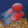 Cool Flowerhorn Fish Diamond Painting