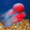 Cool Flowerhorn Fish Diamond Painting