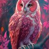 Cute Pink Owl -Diamond Painting