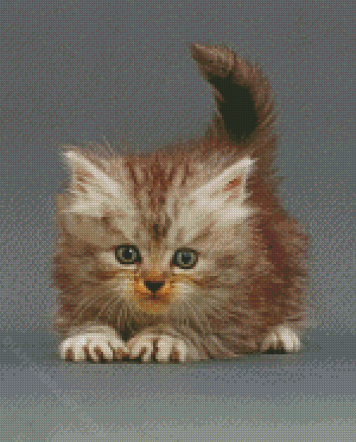 Cute Tabby Persian Kitten Diamond Painting