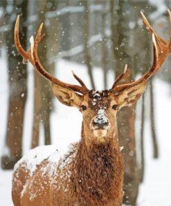 Deer In Woods At Winter Diamond Painting