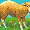 Fluffy Curly Sheep Diamond Painting