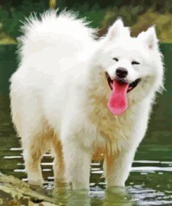 Happy Samoyed Diamond Painting