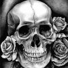 Black And White Skull Diamond Painting