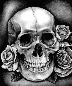 Black And White Skull Diamond Painting