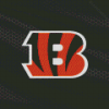 Cincinnati Bengals Diamond Painting