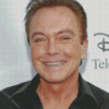 David Cassidy Diamond Painting