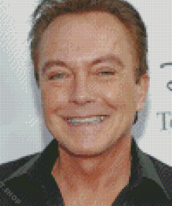 David Cassidy Diamond Painting