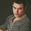 Emmett Cullen Twilight Saga Diamond Painting