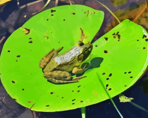 Frog On Water Lily Pad Diamond Painting