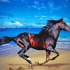 Horse On Beach Diamond Painting