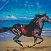 Horse On Beach Diamond Painting