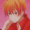 Kyo Sohma Fruits Basket Art Character Diamond Painting