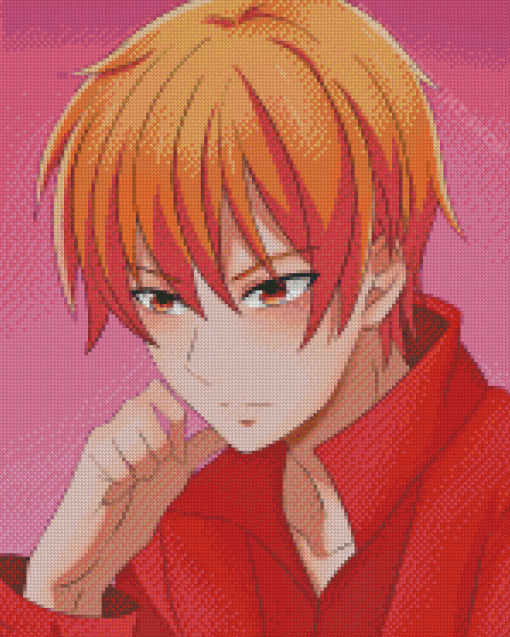 Kyo Sohma Fruits Basket Art Character Diamond Painting