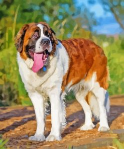 St Bernard Diamond Painting