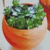 Succulent Pot Diamond Painting