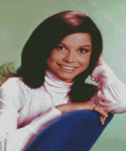 The Mary Tyler Moore Show Diamond Painting