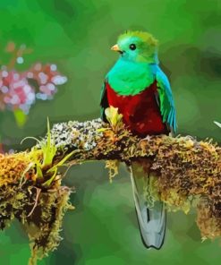 The Quetzal Bird Diamond Painting