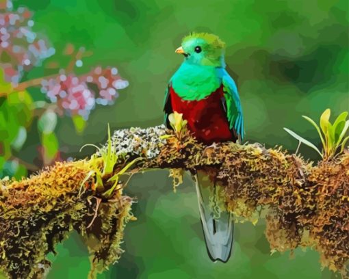 The Quetzal Bird Diamond Painting