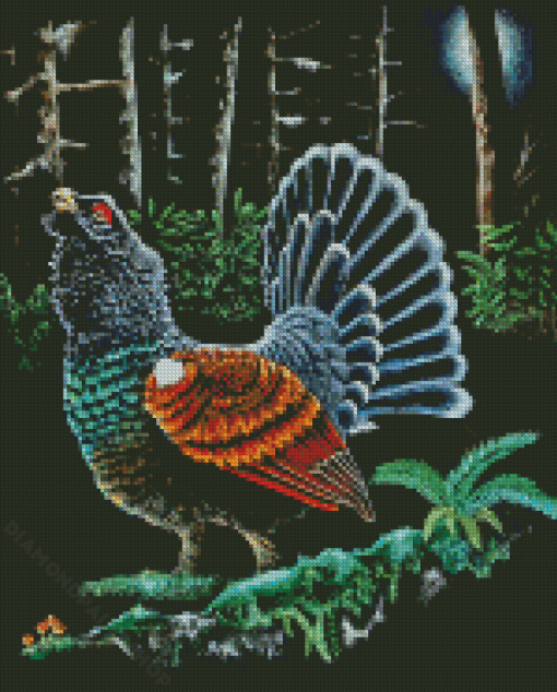 Western Capercaillie Bird Art Diamond Painting