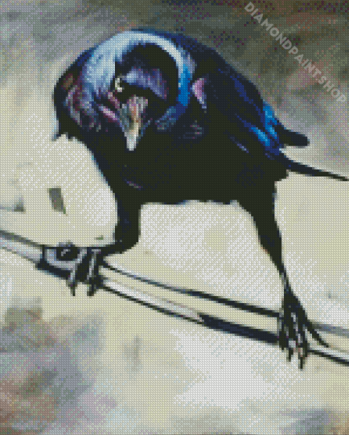 Western Jackdaw Bird Diamond Painting