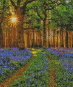 Aesthetic Woodland Bluebell Diamond Painting