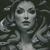 Black And White Snake Woman Diamond Painting