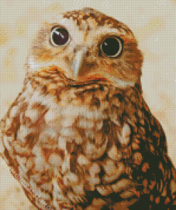 Cute Big Eyed Bird Diamond Painting