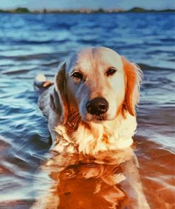 Golden Retriever Enjoying The Summer Diamond Painting