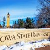 Iowa State University In Winter Diamond Painting