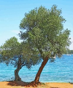 Olive Trees Lake Diamond Painting