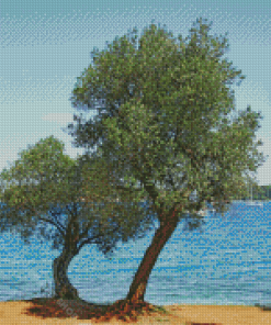 Olive Trees Lake Diamond Painting