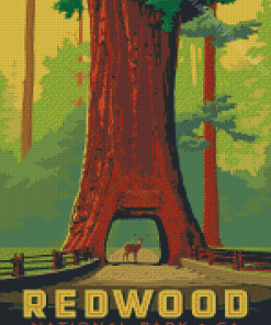 Redwood Forest Diamond Painting