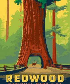 Redwood Forest Diamond Painting