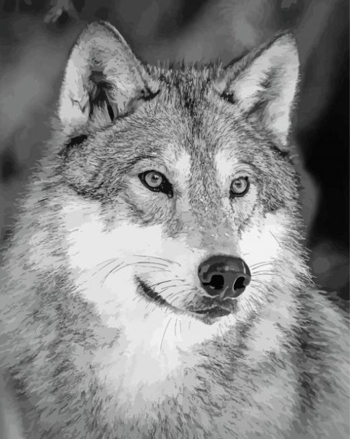 Aesthetic White And Grey Wolf Diamond Painting