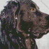 Close Up Black Golden Retriever In Snow Side View Diamond Painting