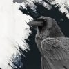 Common Raven Diamond Painting