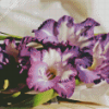 Purple Gladiolus Flowers Diamond Painting