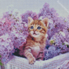 Purple Flowers Cat Diamond Painting