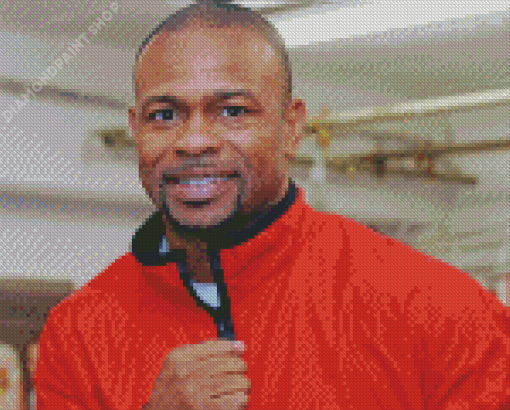 Roy Jones Jr Diamond Painting