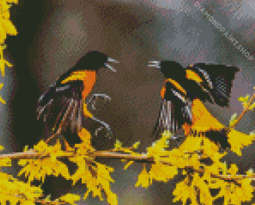 Baltimore Oriole Birds Diamond Painting