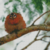 Bobwhite Quail On Tree Branch Diamond Painting