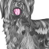 Dog Skye Terrier Art Diamond Painting