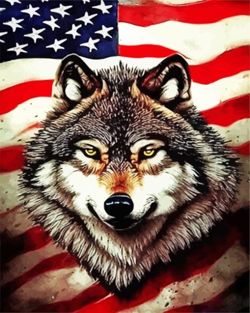 Grey Wolf And American Flag Diamond Painting