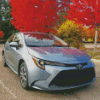 Grey Corolla Diamond Painting